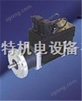 德国PERSKE特种电机