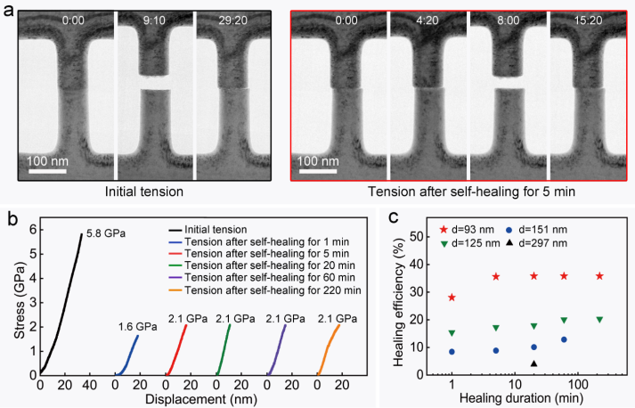 宁波材料所在MAX相断面自修复研究方面取得进展